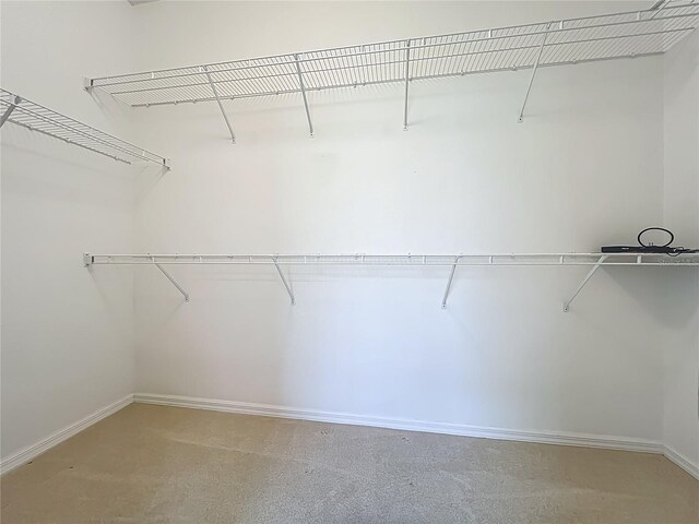 106 Winghurst Blvd, Orlando, FL 32828 - photo 35