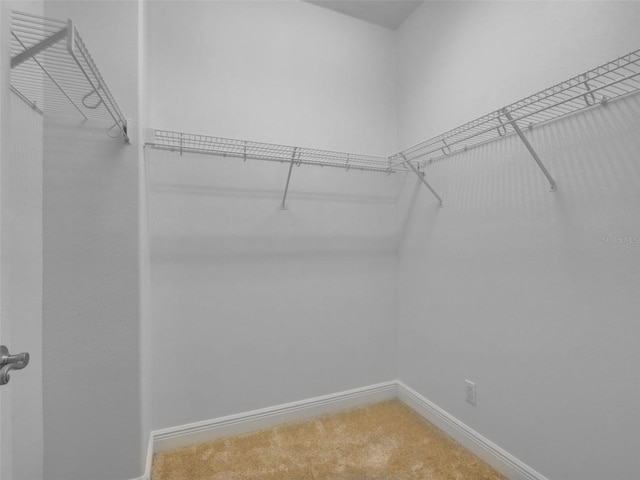 17322 Chateau Pine Way, Clermont, FL 34711 - walk in closet featuring carpet