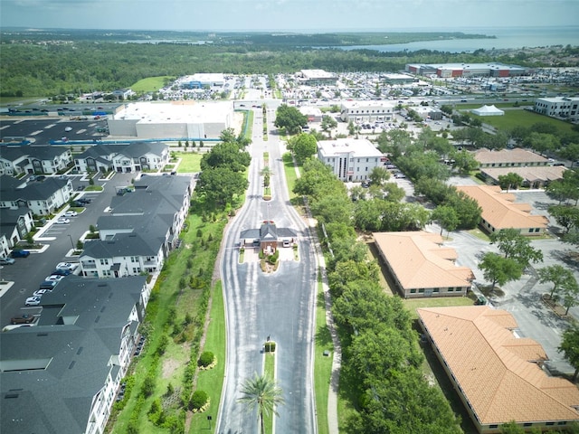 17322 Chateau Pine Way, Clermont, FL 34711 - aerial view