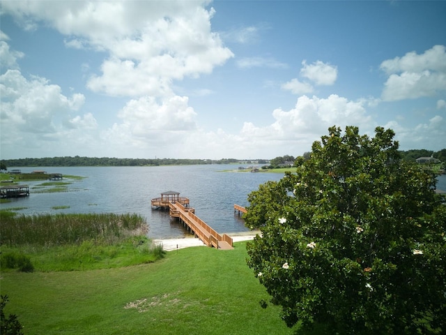 17322 Chateau Pine Way, Clermont, FL 34711 - dock with a water view