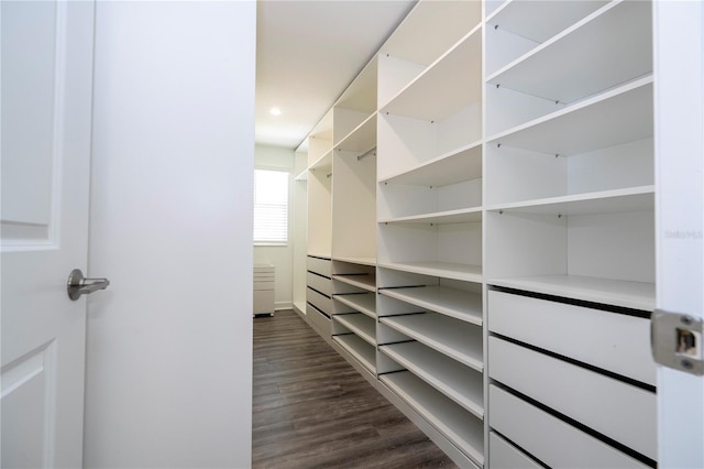 1097 Trappers Trail Loop, Davenport, FL 33896 - walk in closet featuring dark wood-style floors