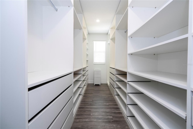1097 Trappers Trail Loop, Davenport, FL 33896 - spacious closet with dark wood finished floors