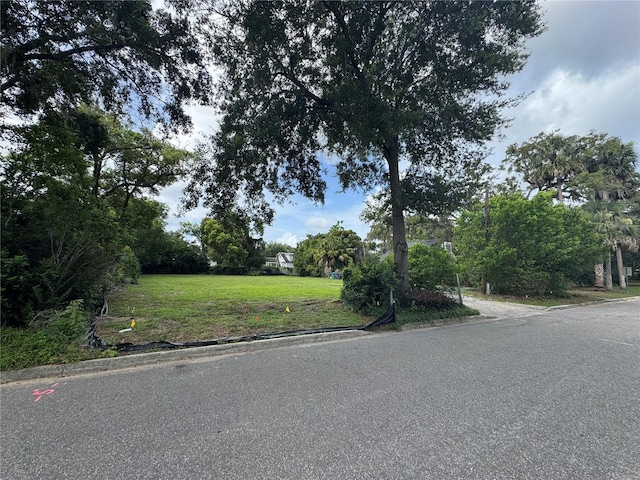1756 Hollywood Ave, Winter Park, FL 32789 - photo 4