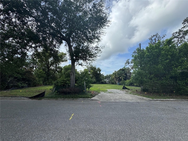 1756 Hollywood Ave, Winter Park, FL 32789 - photo 6