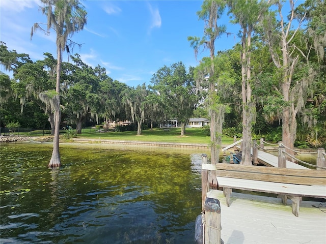 606 Butler St, Windermere, FL 34786 - dock with a water view and view of scattered trees