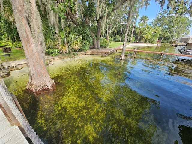 606 Butler St, Windermere, FL 34786 - view of dock