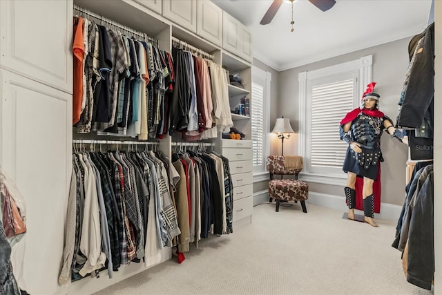8407 Interbay Blvd, Tampa, FL 33616 - walk in closet with carpet and ceiling fan