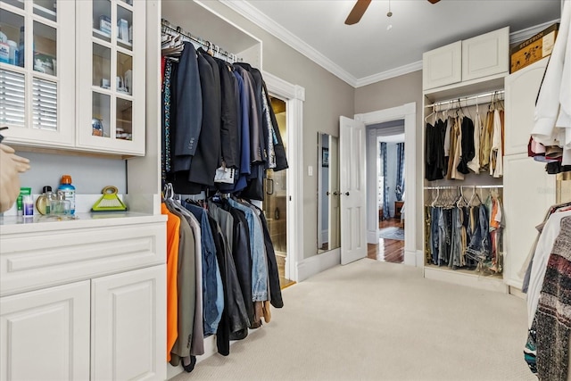 8407 Interbay Blvd, Tampa, FL 33616 - spacious closet featuring a ceiling fan and carpet