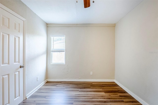1769 Dayton St S, Saint Petersburg, FL 33712 - photo 14