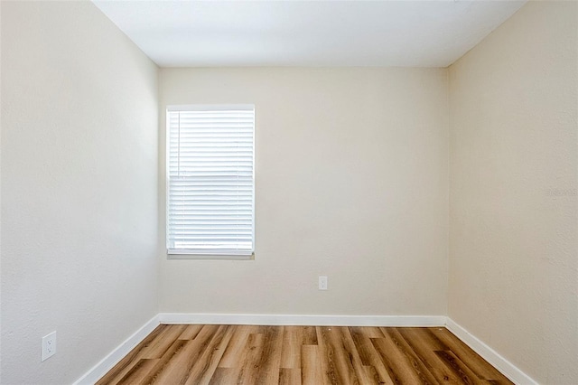 1769 Dayton St S, Saint Petersburg, FL 33712 - photo 22
