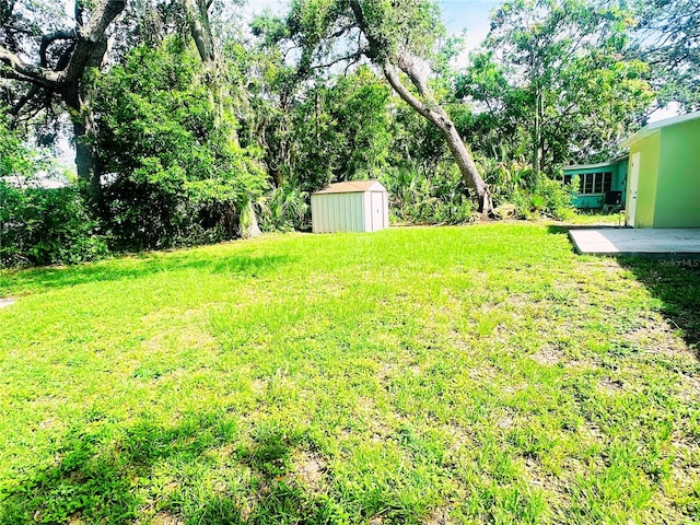 2731 Union St S, Saint Petersburg, FL 33712 - photo 3