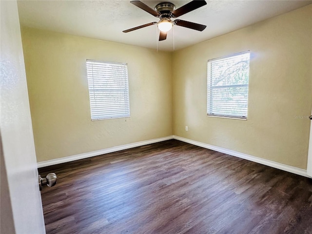 2731 Union St S, Saint Petersburg, FL 33712 - photo 11