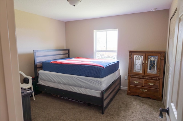 16863 SW 29th Terrace Rd, Ocala, FL 34473 - bedroom featuring carpet floors