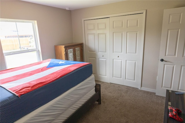 16863 SW 29th Terrace Rd, Ocala, FL 34473 - carpeted bedroom with a closet