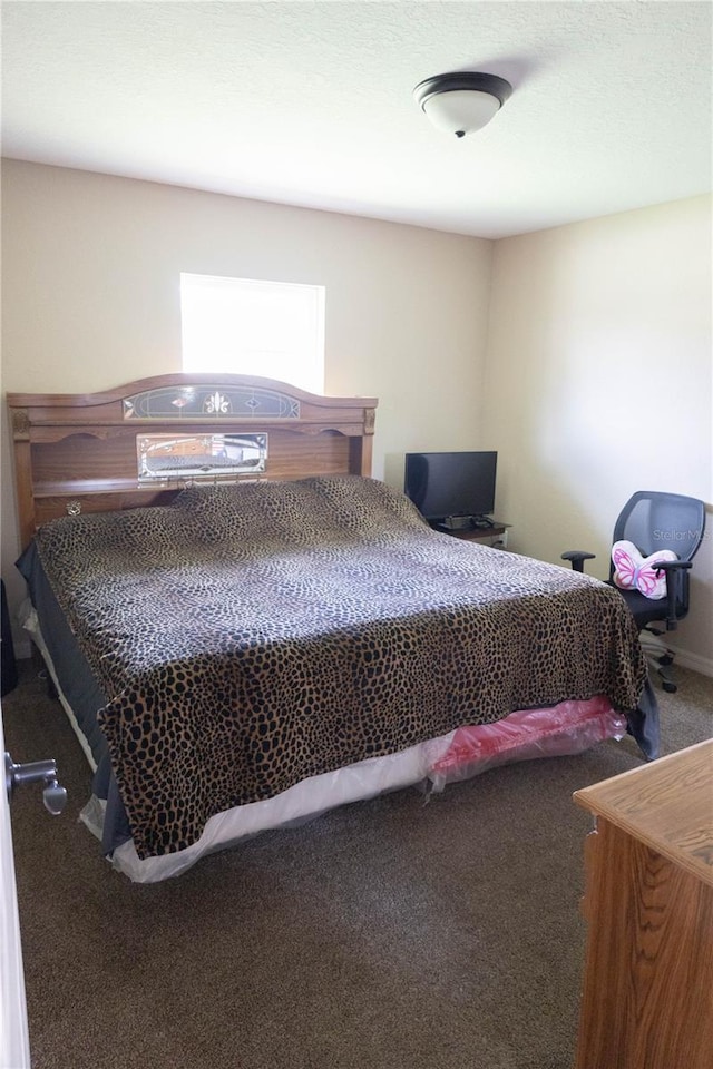16863 SW 29th Terrace Rd, Ocala, FL 34473 - view of carpeted bedroom