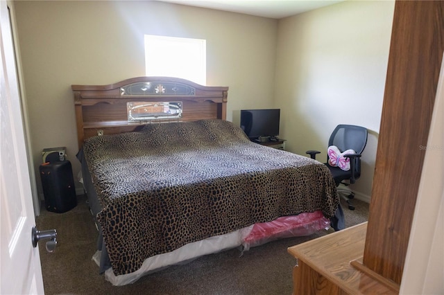 16863 SW 29th Terrace Rd, Ocala, FL 34473 - view of carpeted bedroom