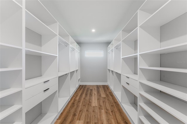 15942 Vetta Dr, Bella Collina, FL 34756 - spacious closet with dark wood-type flooring