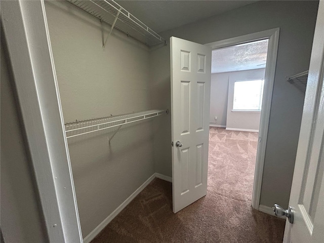 1922 Conway Rd Unit 1922, Orlando, FL 32812 - spacious closet featuring carpet flooring