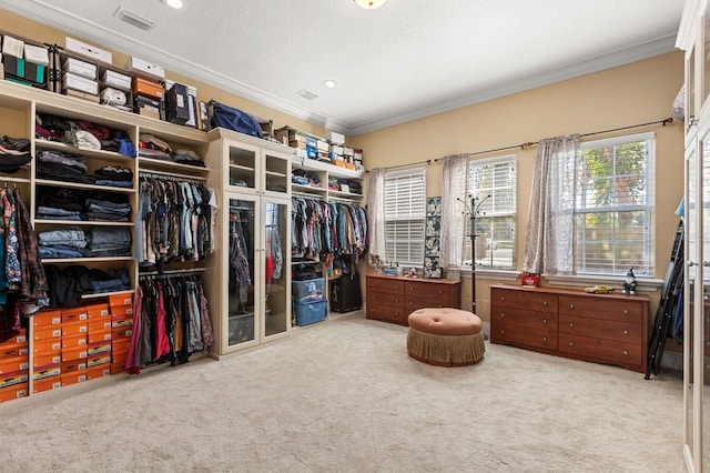 9400 Laws Rd, Clermont, FL 34714 - walk in closet featuring carpet floors