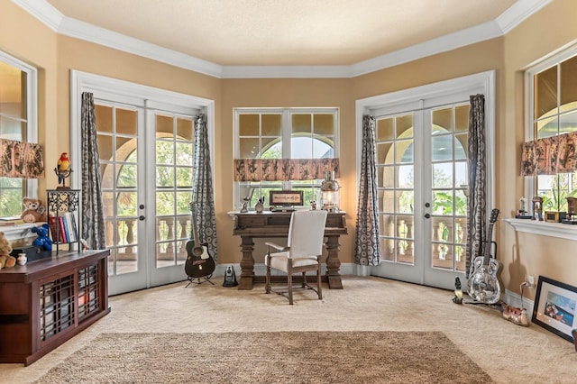 9400 Laws Rd, Clermont, FL 34714 - office featuring french doors, carpet flooring, and ornamental molding