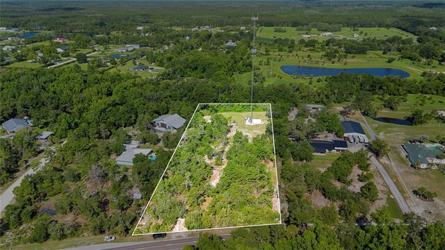 1835 S Glencoe Rd, New Smyrna Beach, FL 32168 - photo 1