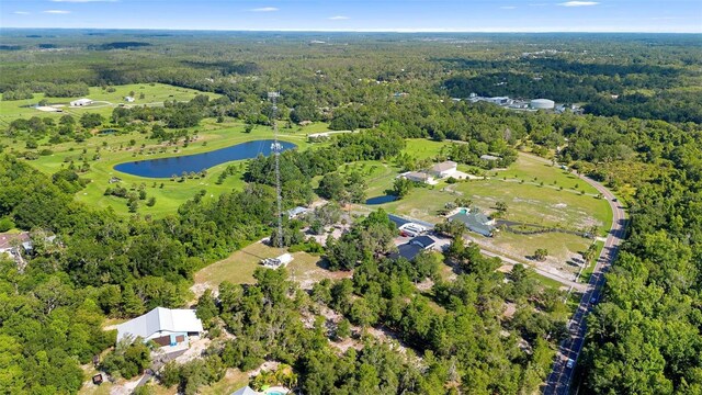 1835 S Glencoe Rd, New Smyrna Beach, FL 32168 - photo 3