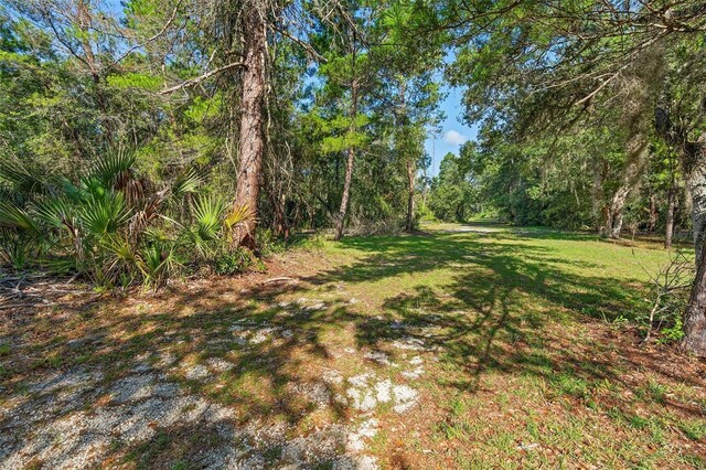 1835 S Glencoe Rd, New Smyrna Beach, FL 32168 - photo 7