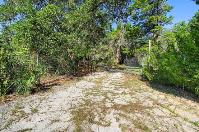 1835 S Glencoe Rd, New Smyrna Beach, FL 32168 - photo 8