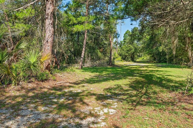 1835 S Glencoe Rd, New Smyrna Beach, FL 32168 - photo 9