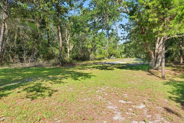 1835 S Glencoe Rd, New Smyrna Beach, FL 32168 - photo 10