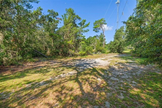 1835 S Glencoe Rd, New Smyrna Beach, FL 32168 - photo 11