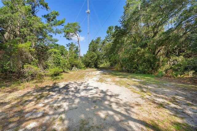 1835 S Glencoe Rd, New Smyrna Beach, FL 32168 - photo 12