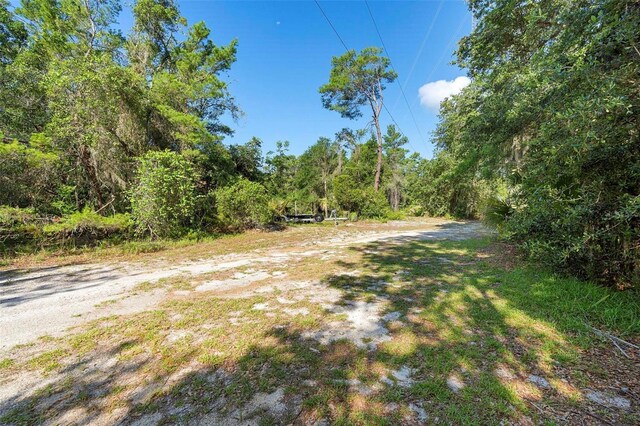 1835 S Glencoe Rd, New Smyrna Beach, FL 32168 - photo 14