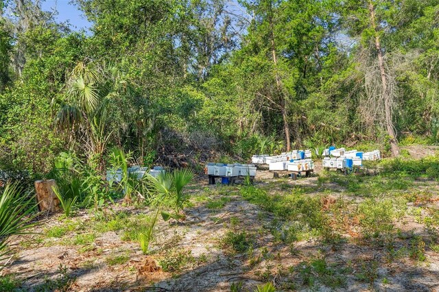 1835 S Glencoe Rd, New Smyrna Beach, FL 32168 - photo 15