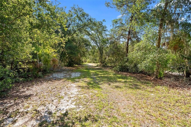 1835 S Glencoe Rd, New Smyrna Beach, FL 32168 - photo 22