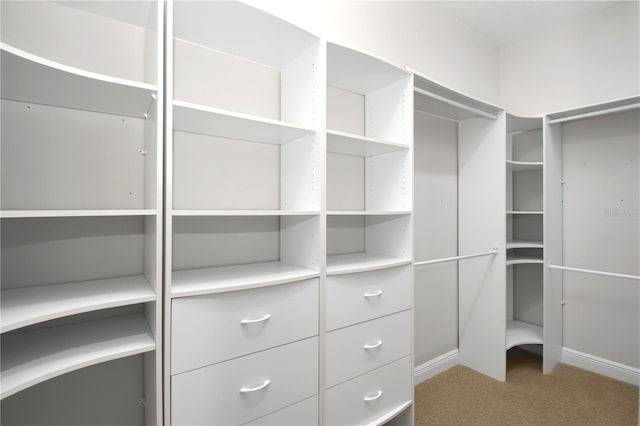 1441 Foxtail Ct, Lake Mary, FL 32746 - spacious closet featuring light carpet