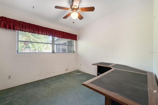 209 Wilmer Ave, Orlando, FL 32811 - photo 14