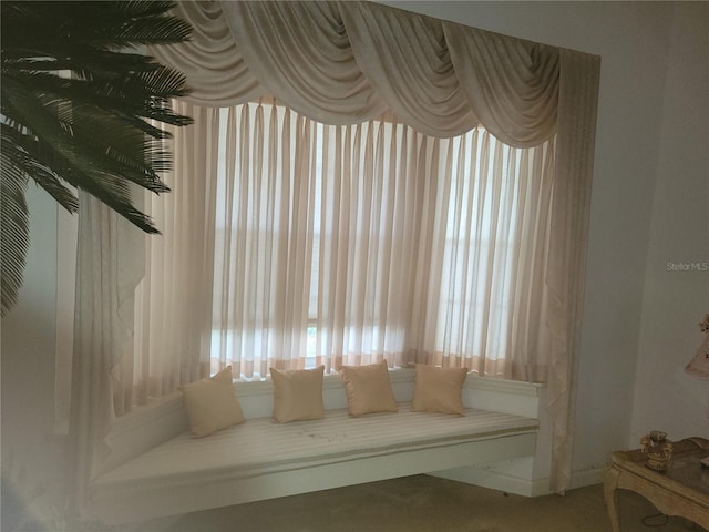8603 Snowfire Dr, Orlando, FL 32818 - detailed view of carpet