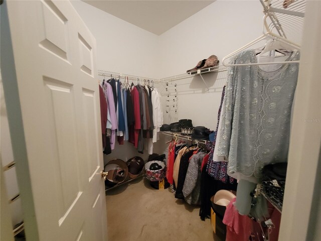 8603 Snowfire Dr, Orlando, FL 32818 - view of walk in closet