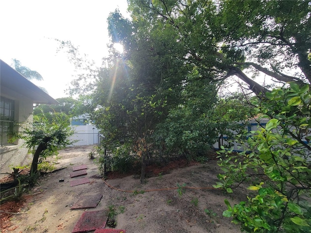 8603 Snowfire Dr, Orlando, FL 32818 - view of yard