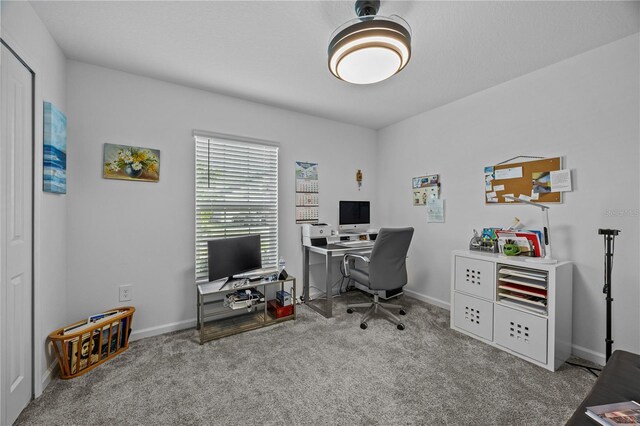 873 Daring Dr, Davenport, FL 33837 - office space featuring carpet floors and baseboards