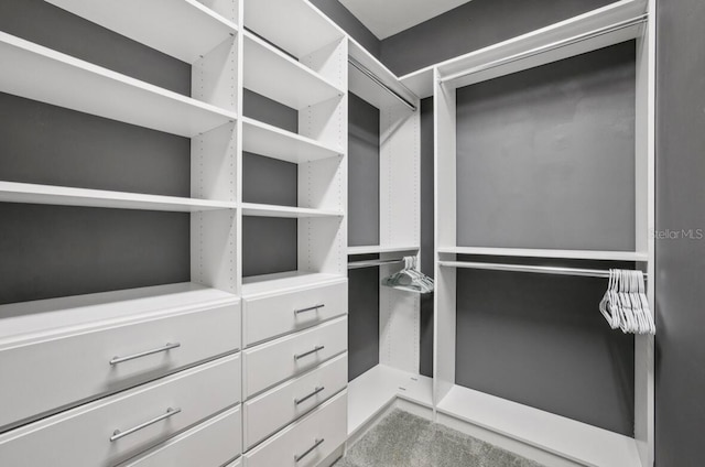 13084 Rinella St, Venice, FL 34293 - view of spacious closet