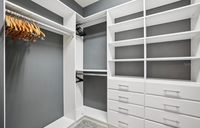 13084 Rinella St, Venice, FL 34293 - view of walk in closet