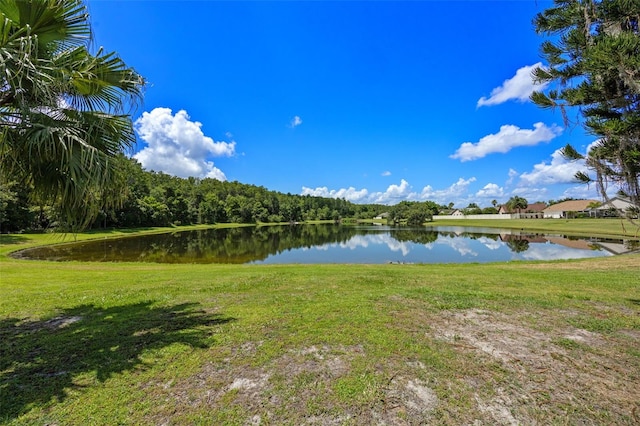 14566 Quail Trail Cir, Orlando, FL 32837 - water view