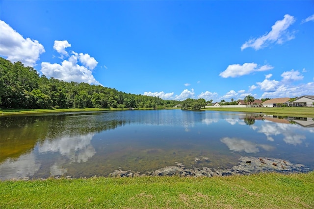 14566 Quail Trail Cir, Orlando, FL 32837 - water view