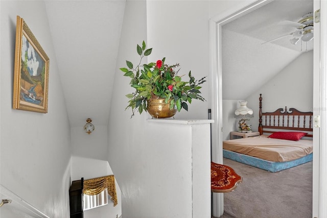 2076 Shannon Lakes Blvd, Kissimmee, FL 34743 - bedroom featuring carpet and vaulted ceiling