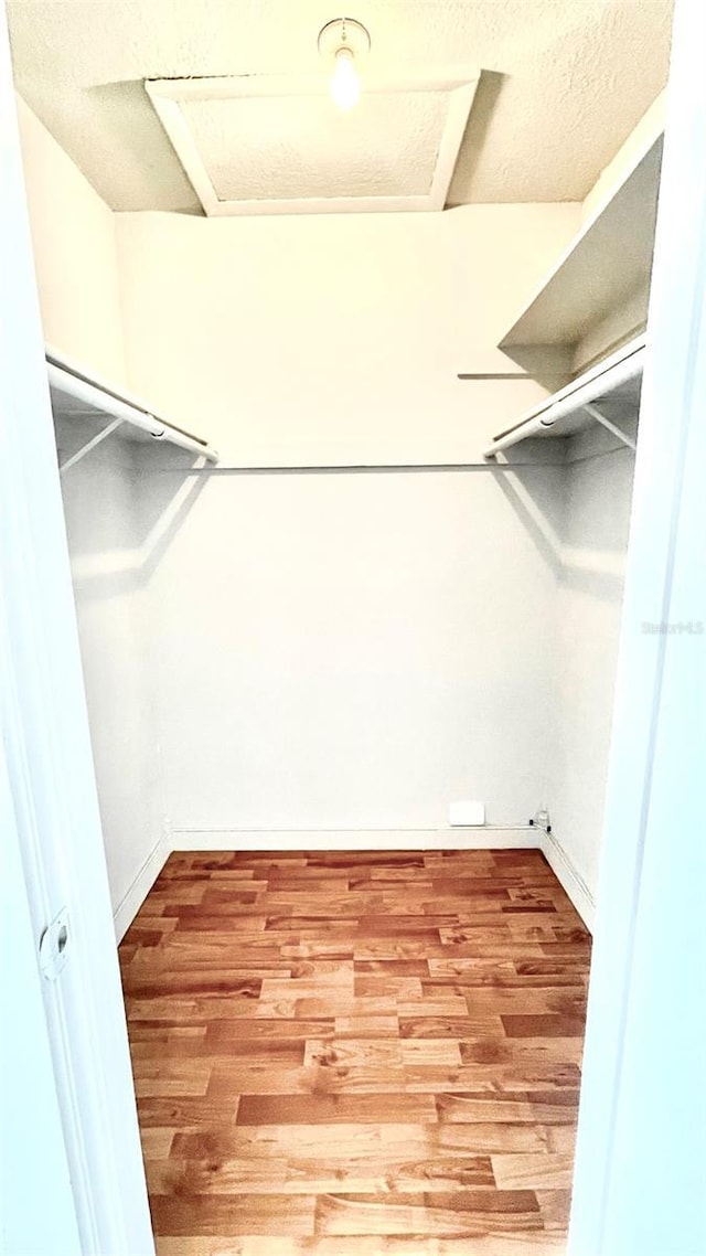 5500 Devonbriar Way Unit 202, Orlando, FL 32822 - walk in closet with wood finished floors