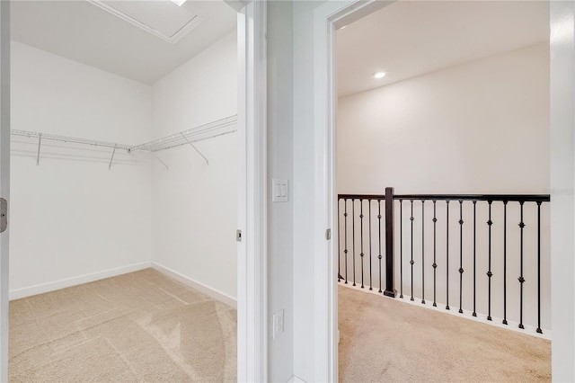 1246 Payne Stewart Dr, Davenport, FL 33896 - walk in closet featuring carpet