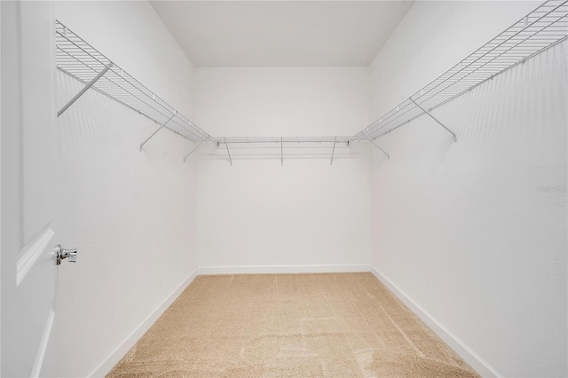 1246 Payne Stewart Dr, Davenport, FL 33896 - spacious closet with light colored carpet
