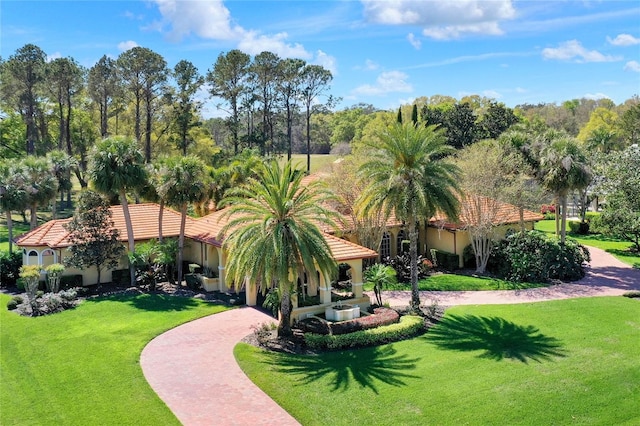 3130 Butler Bay Dr N, Windermere, FL 34786 - surrounding community with a lawn and curved driveway